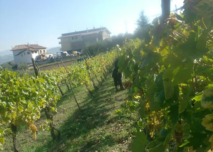 Il Sentiero Del Riccio