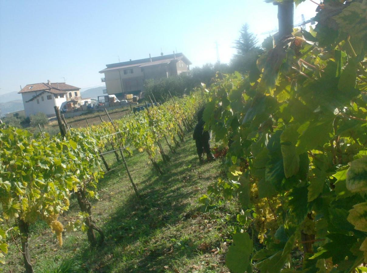 Il Sentiero Del Riccio * Sicignano degli Alburni