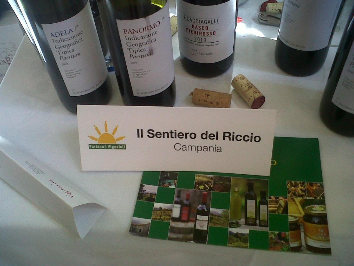 Holiday home Il Sentiero Del Riccio